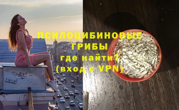 спайс Богородицк