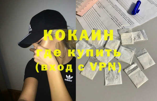 крисы Богородск
