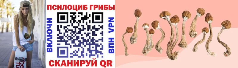 маркетплейс какой сайт  Сковородино  Галлюциногенные грибы Magic Shrooms 